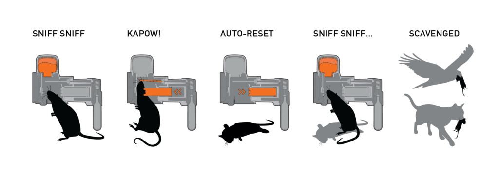 A24 Rat & Mouse Trap Kit w/ Counter ~ Keep Track of Trap Use & Monitor  Efficacy